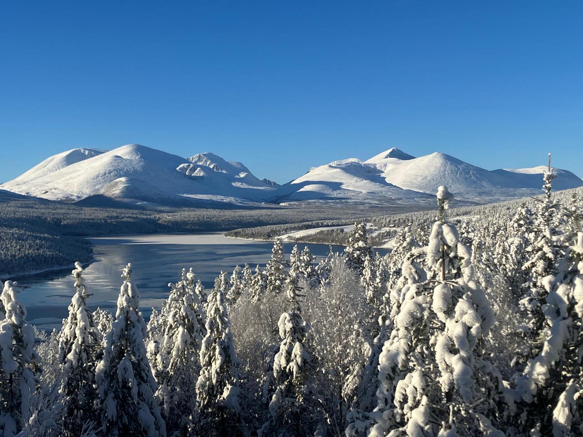 Rondane Sollia Friluftsliv Ovre Nordli Villa Bagian luar foto